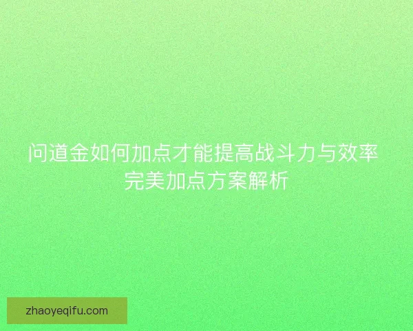 问道金如何加点才能提高战斗力与效率 完美加点方案解析