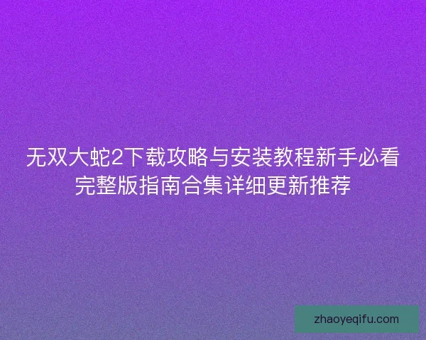 无双大蛇2下载攻略与安装教程新手必看完整版指南合集详细更新推荐